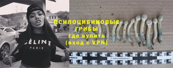 гидропоника Карпинск