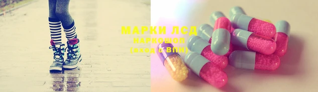 гидропоника Карпинск
