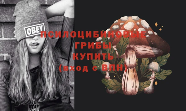 гидропоника Карпинск