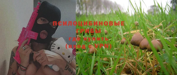 гидропоника Карпинск