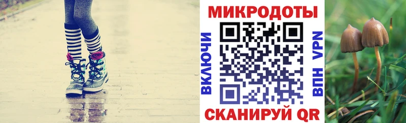 Псилоцибиновые грибы Magic Shrooms  Купить где  Новоульяновск 